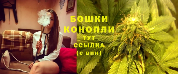 амф Аркадак