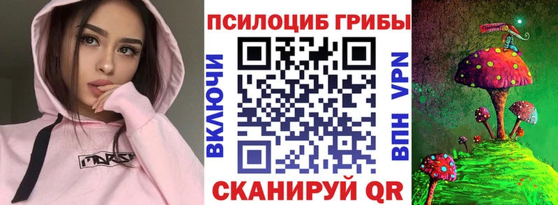 Псилоцибиновые грибы Psilocybine cubensis  купить закладку  Советская Гавань 